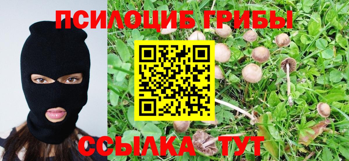 Псилоцибиновые грибы Magic Shrooms Семёнов