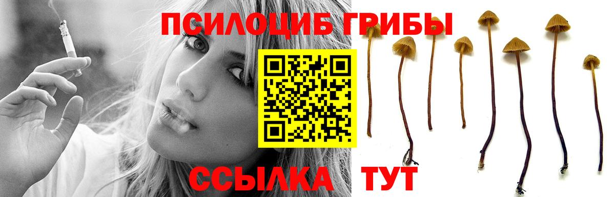 Псилоцибиновые грибы Cubensis  Вход с VPN  магазин продажи   Семёнов  Псилоцибиновые грибы ЛСД 
