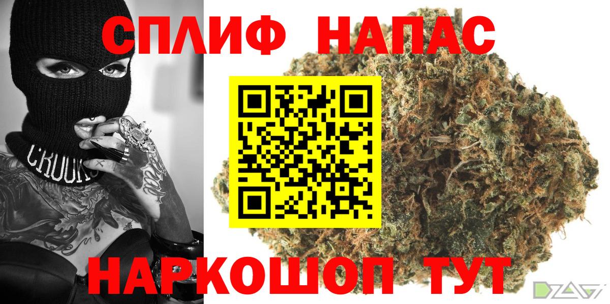 Конопля ГИДРОПОН Семёнов